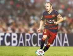 IM体育赛事直播入口-狼啸终场，鹰击长空，从森林狼绝杀到塔图姆跨洋主宰的双重奏