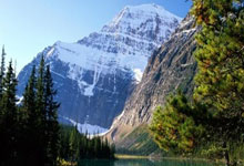 IM体育App下载-包含切尔西老板将更换主教练传闻孔蒂或迪马特奥将接班的词条