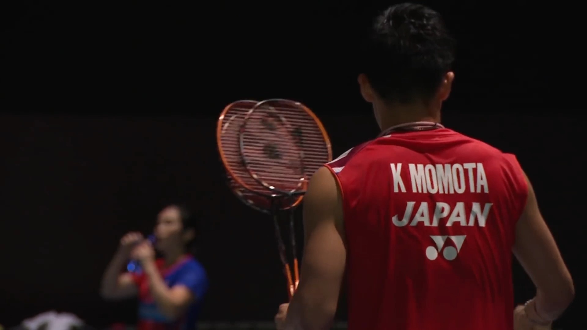 IM体育官方平台-德国队完胜日本队，桃田贤斗惊艳四座的简单介绍